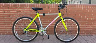 Bicleta MTB Americana Raleigh Technium