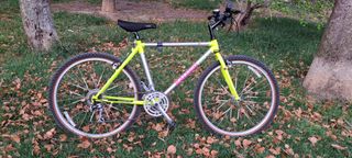 Bicleta MTB Americana Raleigh Technium