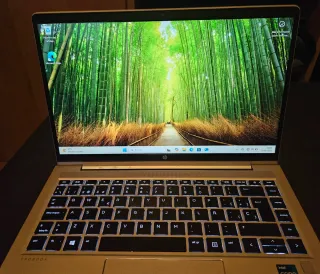 HP ProBook  440 G8  Plata