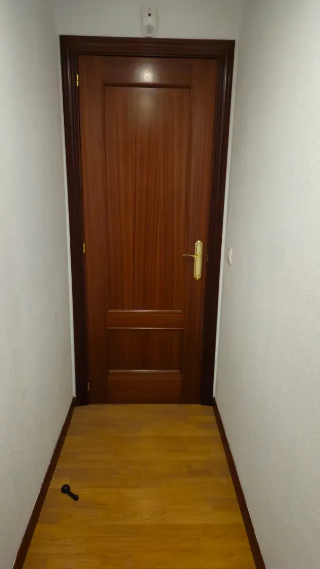 Puerta de madera interior