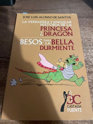 La verdadera y singular historia de la princesa...