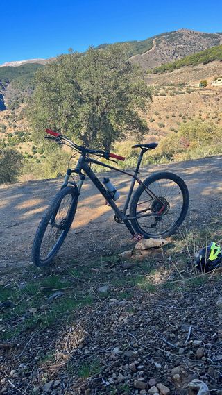 Bicicleta BH Spike