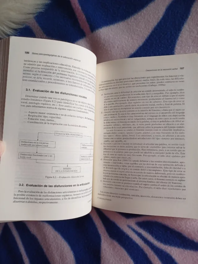 "Bases psicopedagógicas de la educación especial"