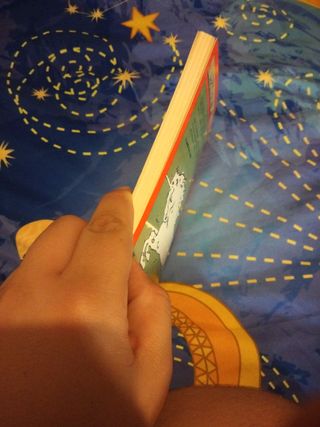 El unicornio