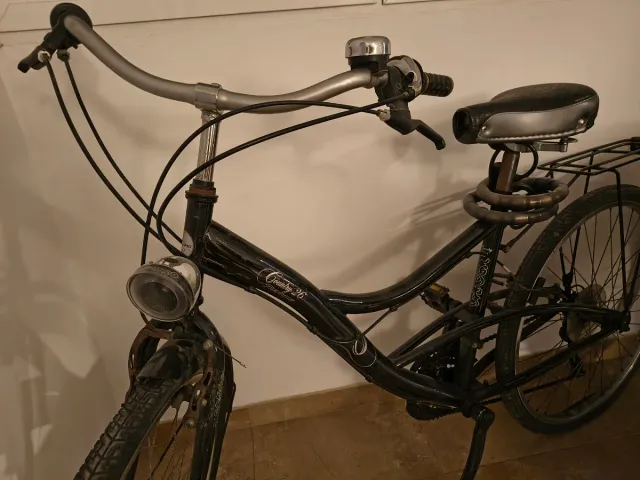 Bicicleta holandesa Negra