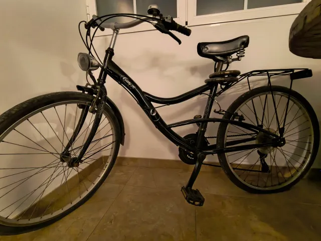 Bicicleta holandesa Negra
