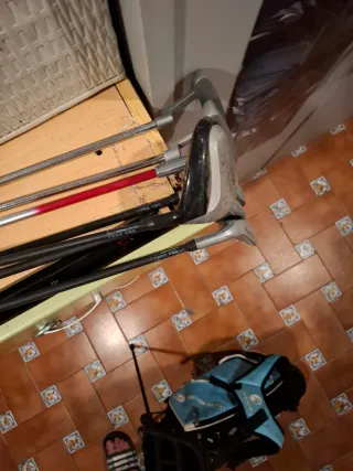 Bolsa y palos de golf