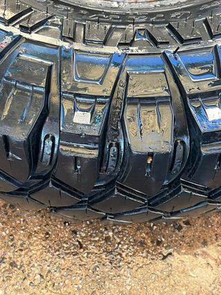 Maxxis Creepy Crawler 37