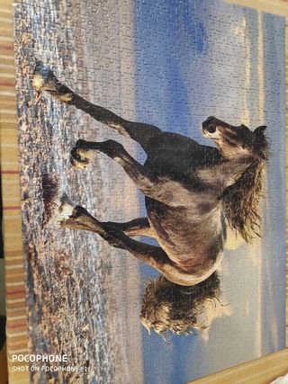 Puzzle 1000 Piezas Caballo Salvaje