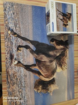 Puzzle 1000 Piezas Caballo Salvaje