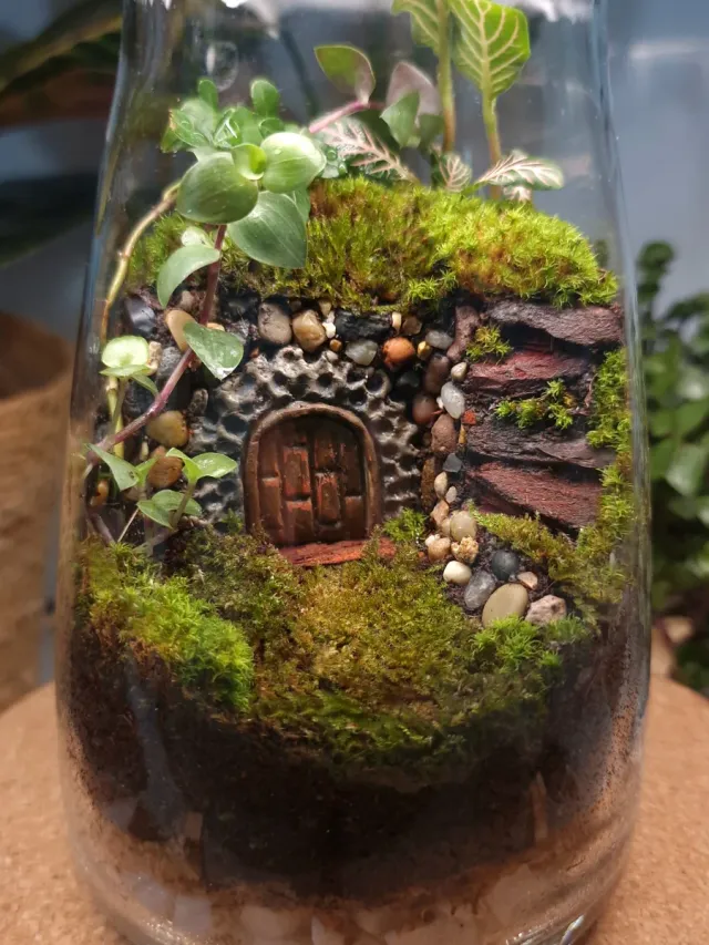 Terrario da giardino eterno