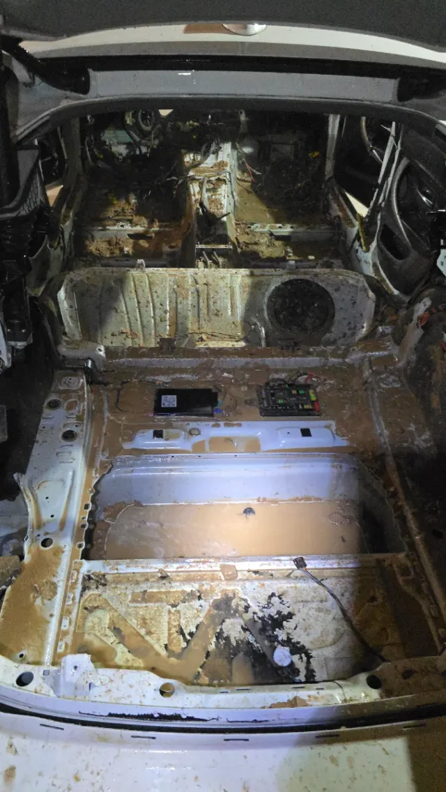 Reparacion/Rehabilitación Coche de DANA solo BMW's