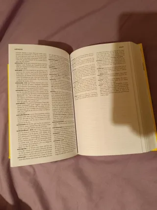 Diccionario de llengua catalana 
