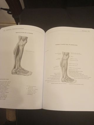 Tratado medicina SOBOTTA