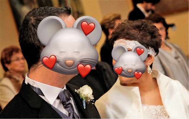 Vestido de Novia Blanco