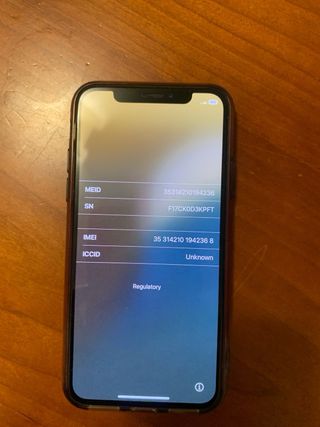 iPhone X 256 GB