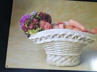 Cornice Anne Geddes con stampa bambini ape