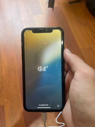 iPhone XR