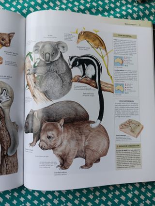 Enciclopedia de los animales. Mamíferos I. (Con...