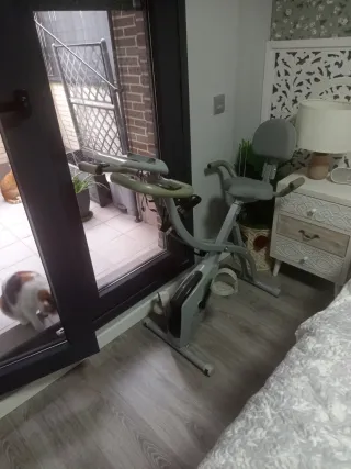 Bicicleta Estática Gris con extensibles brazos