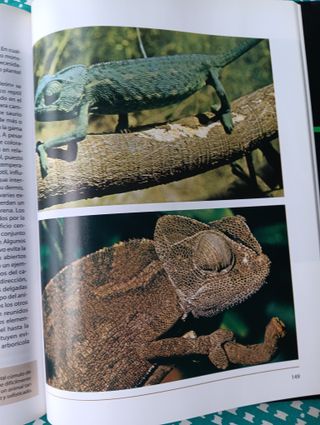 Fauna Iberica y europea Tomo 1