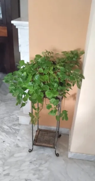 Mesa auxiliar estante forja y madera 