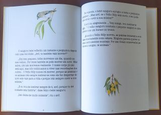 KURTI e o Aniversário