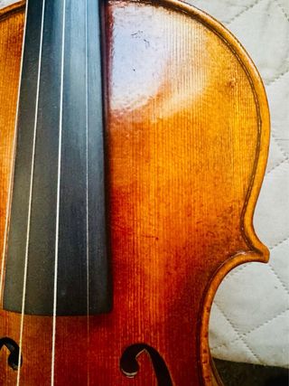 Violín Profesional