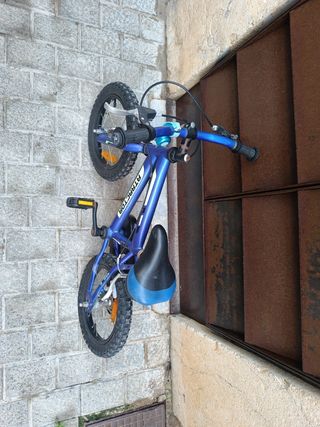 Bicicleta infantil azul