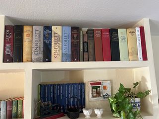 Conjunto de libros
