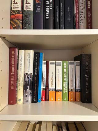 Conjunto de libros varios