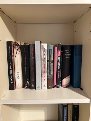 Conjunto de libros varios