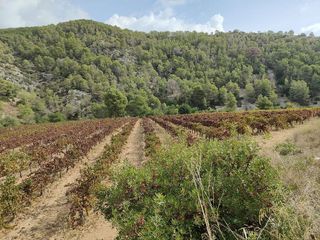 Terreno en venta en Sant Pere de Ribes Centro en Sant Pere de Ribes