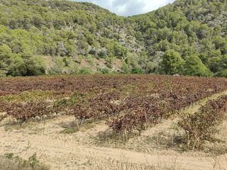 Terreno en venta en Sant Pere de Ribes Centro en Sant Pere de Ribes