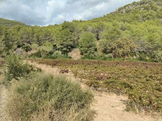 Terreno en venta en Sant Pere de Ribes Centro en Sant Pere de Ribes