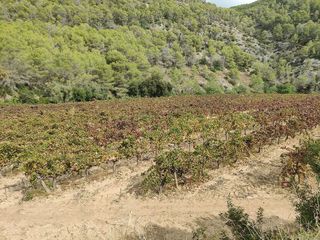 Terreno en venta en Sant Pere de Ribes Centro en Sant Pere de Ribes