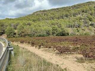 Terreno en venta en Sant Pere de Ribes Centro en Sant Pere de Ribes