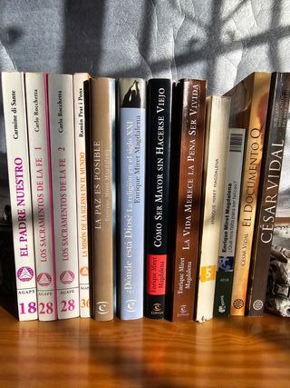 Libros Teología César Vidal Enrique Miret Magdalen