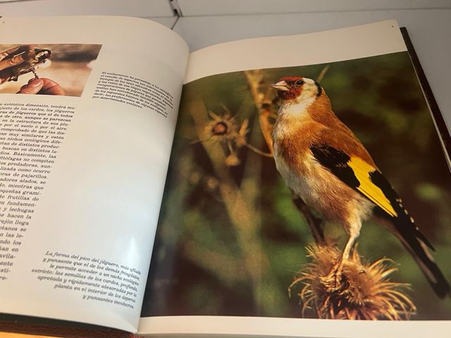 Fauna Ibérica Colección completa Salvat