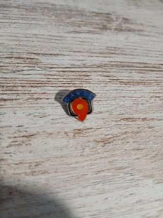 Pin Antiguo Canal Nou