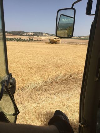 New Holland TX32 Cosechadora