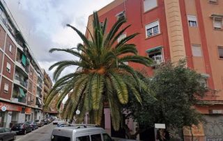 Piso en alquiler en Nou Moles en Valencia