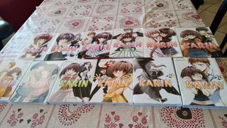 Manga: karin