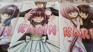 Manga: karin
