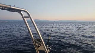 Barco a motor Río Onda 500