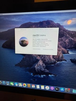 iMac 21,5 2013 Plata