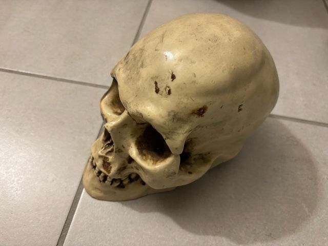 Soprammobile Teschio Halloween Beige/Marrone