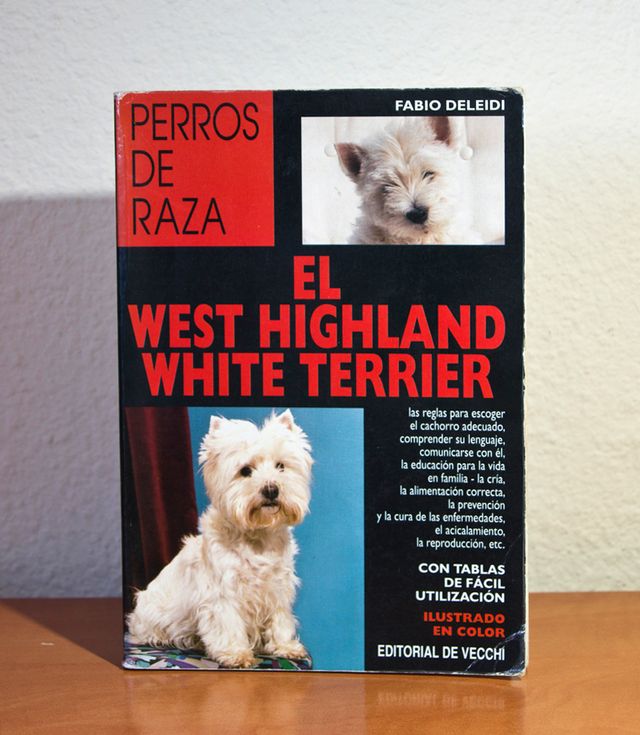 EL WEST HIGHLAND WHITE TERRIER.