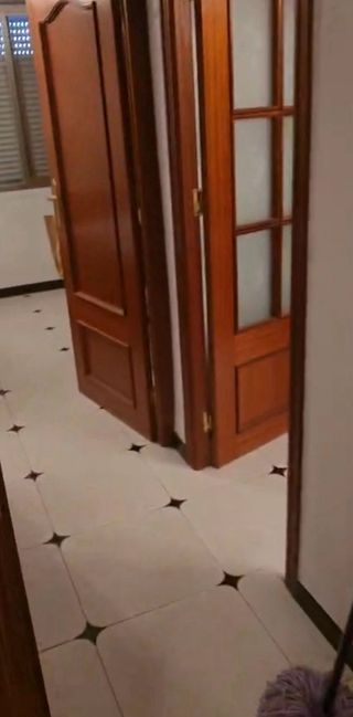Puerta madera interior con cristal