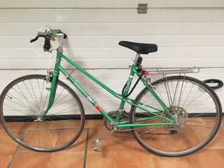 Bicicleta Gacela Verde